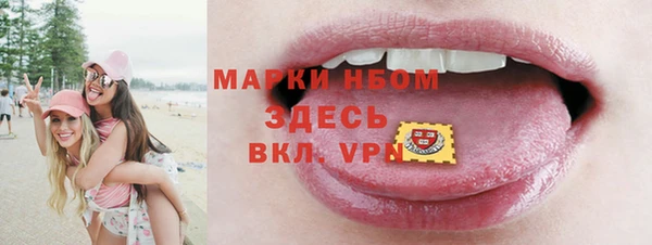 шишки Корсаков