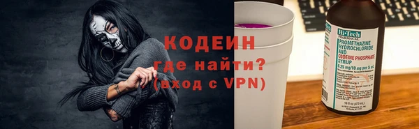шишки Корсаков