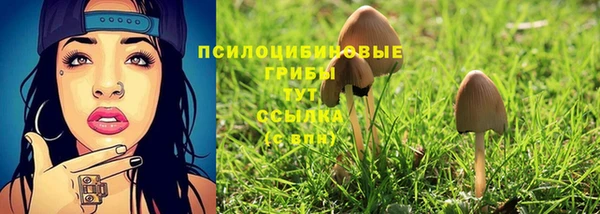 шишки Корсаков