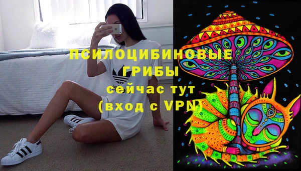 шишки Корсаков