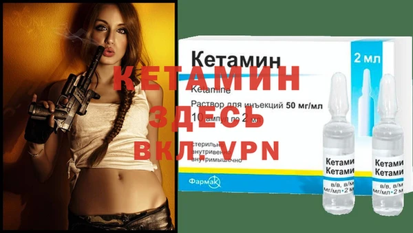 шишки Корсаков