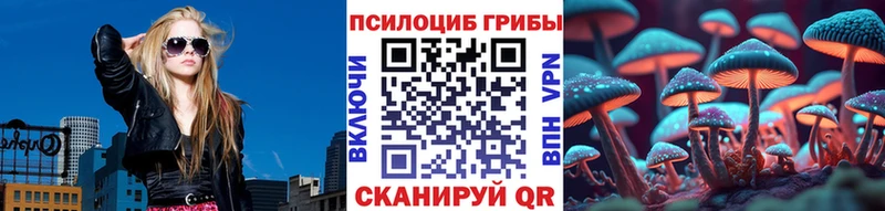 Галлюциногенные грибы Psilocybe  Купить где  Сертолово 